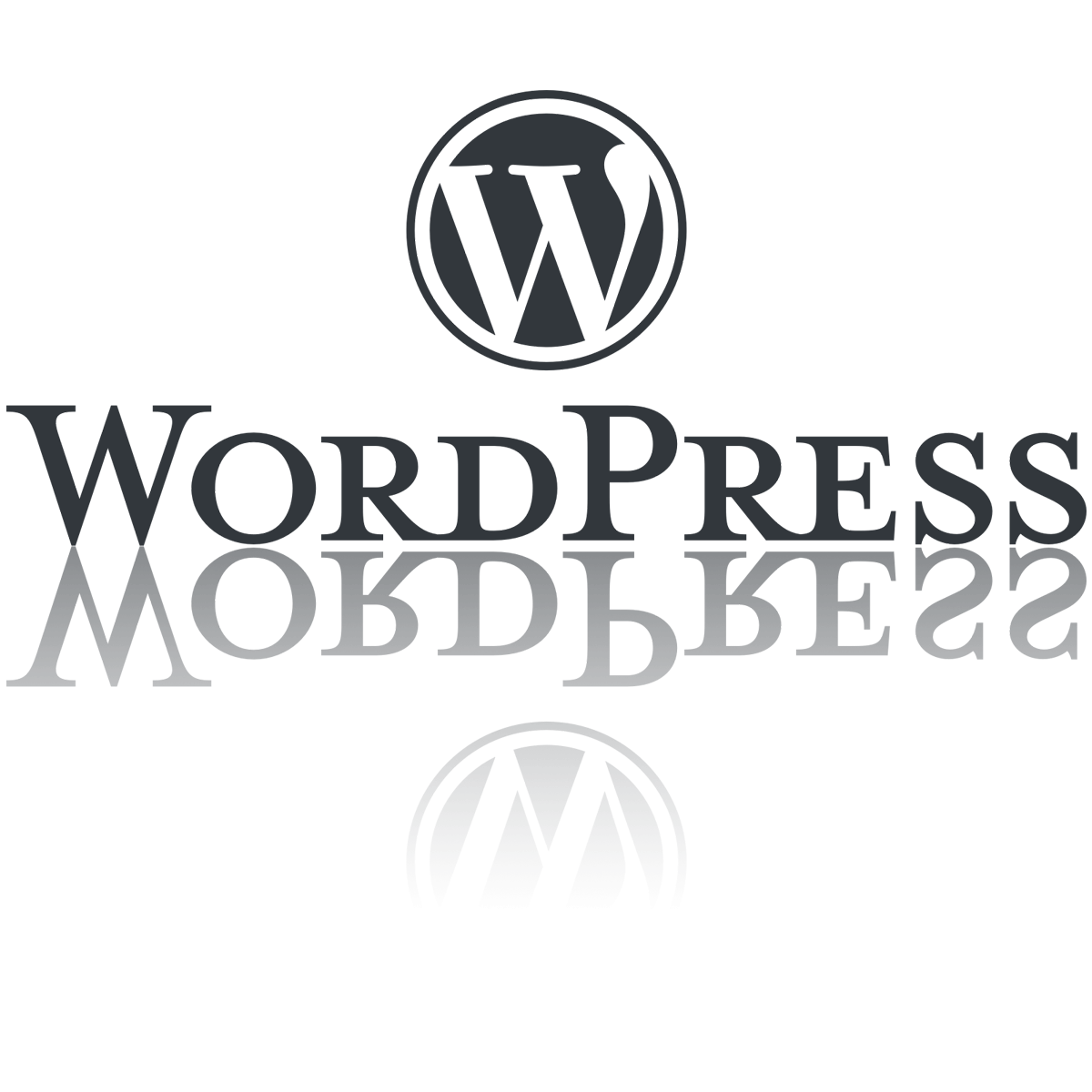 Webdesigner WordPress
